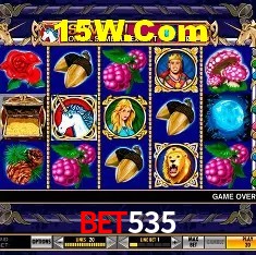 Experiência VIP bet535